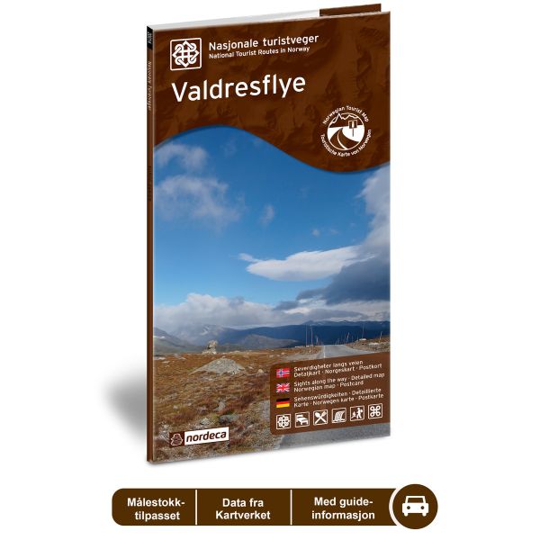 Forside av Valdresflye kart