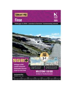 Finse 